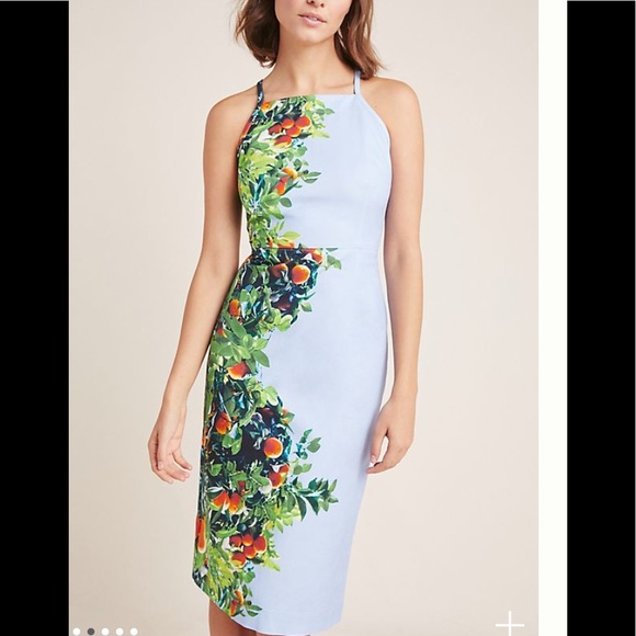 Anthropologie Dresses & Skirts - Anthroplogie orange 🍊 bough dress